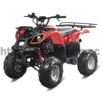 110cc ATV Vehicle Car (FXATV-002A-110cc SF)